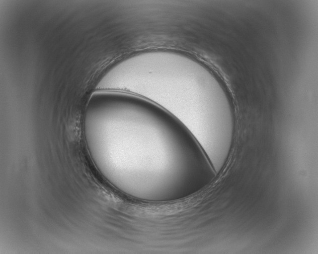 X0000052640017200507082017