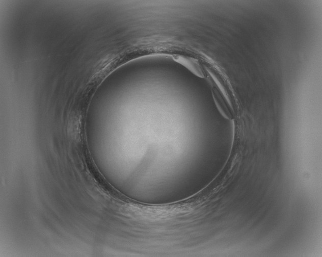 X0000052640018200507082017