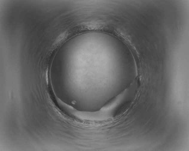 X0000052640019200507082017