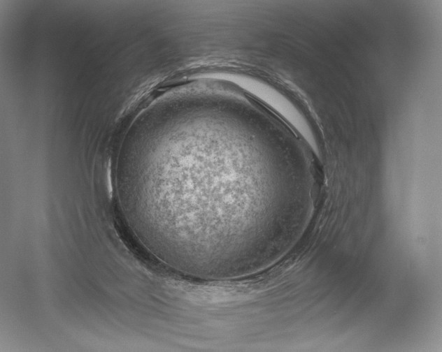 X0000052640020200507082017