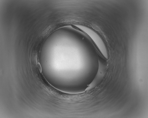 X0000052640021200507082017