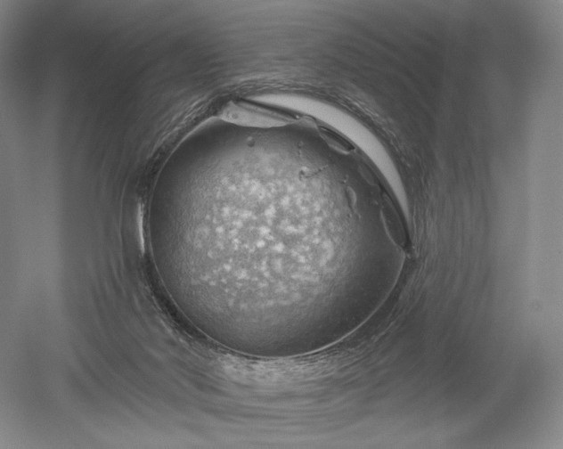 X0000052640022200507082017