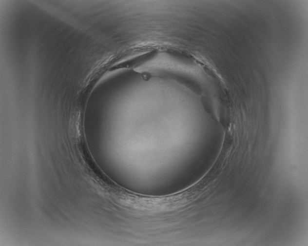 X0000052640023200507082017