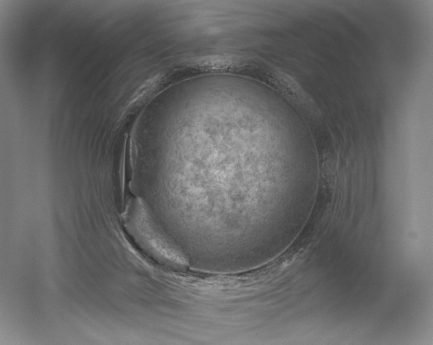 X0000052640024200507082017