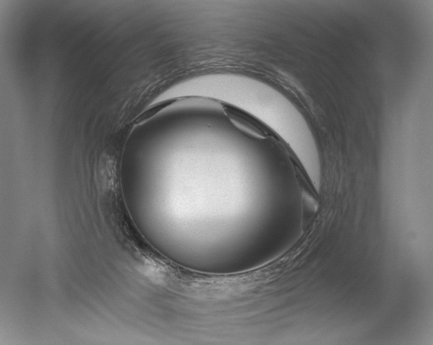 X0000052640025200507082017