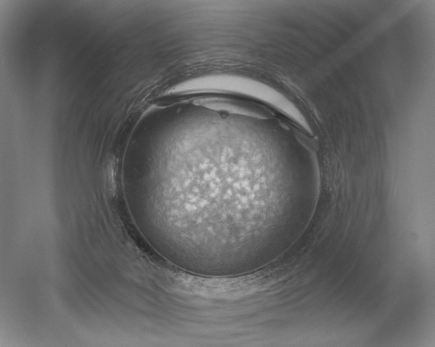 X0000052640026200507082017