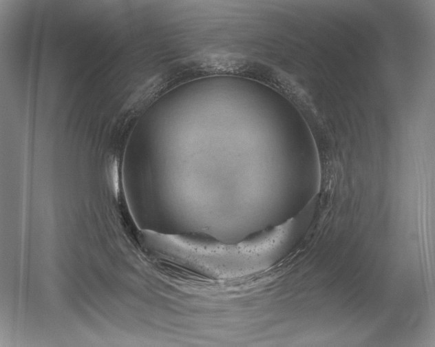 X0000052640027200507082017