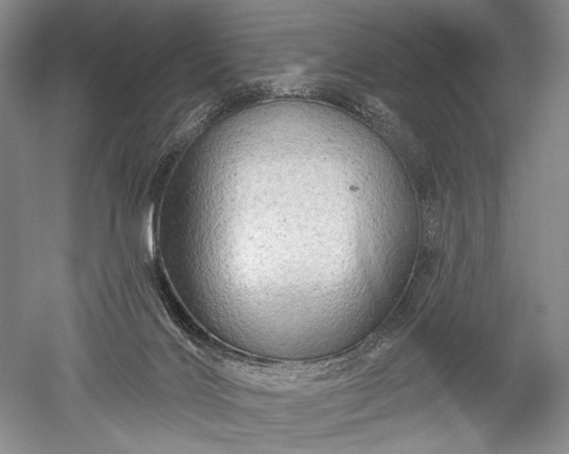 X0000052640028200507082017