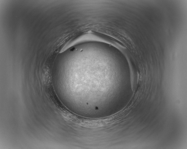 X0000052640029200507082017