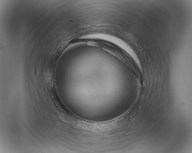 X0000052640031200507082017