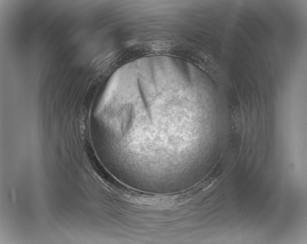 X0000052640032200507082017