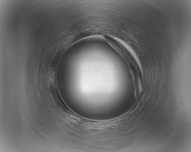 X0000052640033200507082017