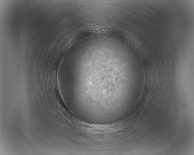 X0000052640034200507082017