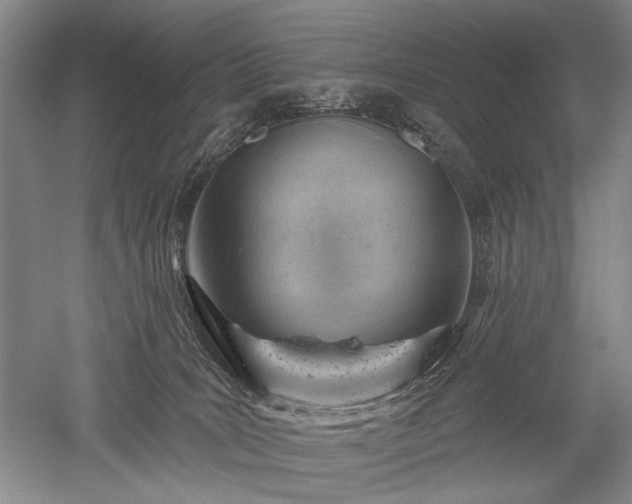 X0000052640035200507082017