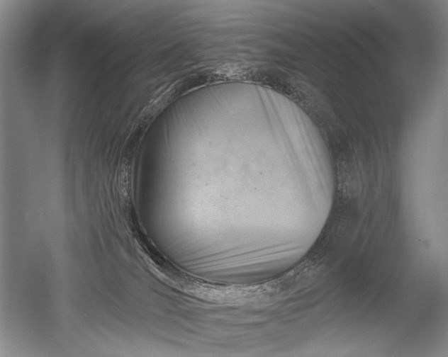 X0000052640036200507082017