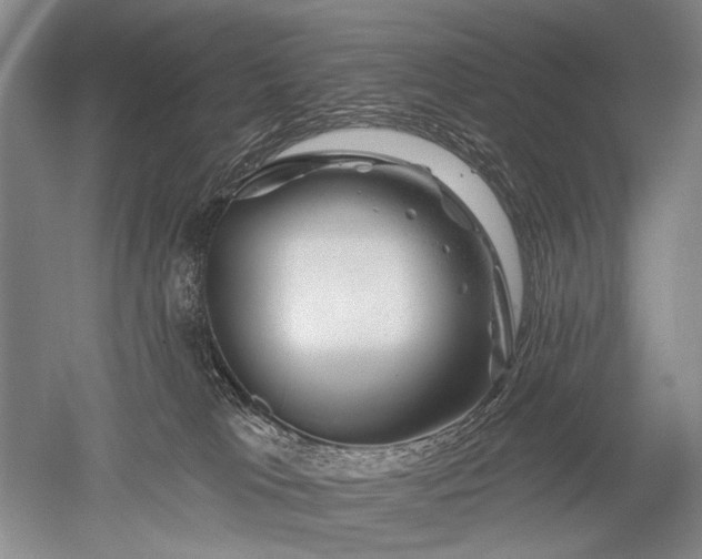 X0000052640037200507082017