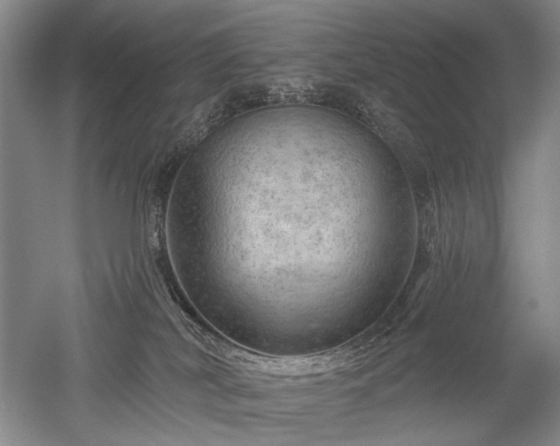 X0000052640038200507082017