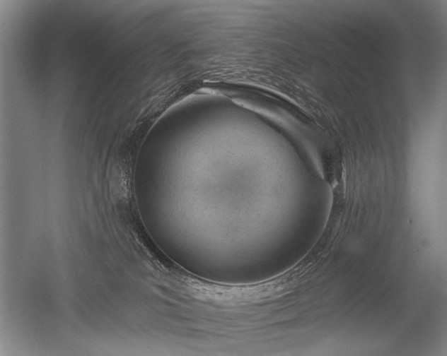 X0000052640039200507082017