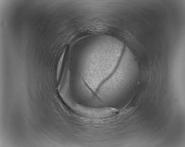 X0000052640040200507082017