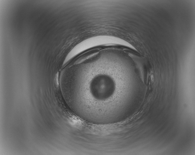 X0000052640041200507082017