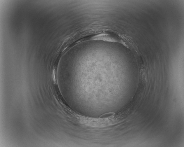 X0000052640042200507082017