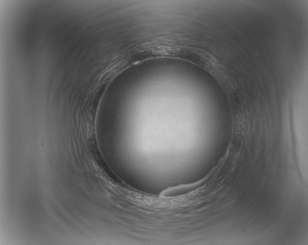 X0000052640043200507082017