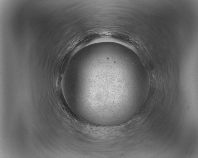 X0000052640044200507082017