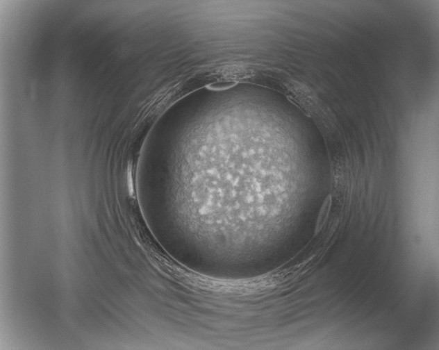 X0000052640046200507082017