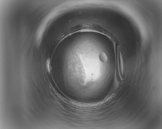 X0000052640047200507082017