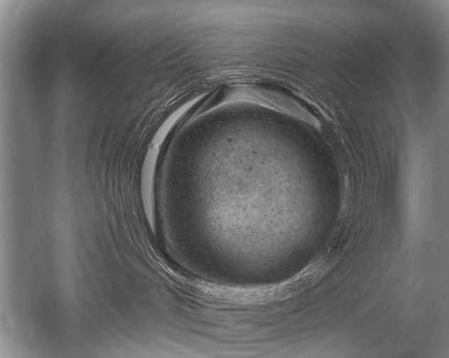 X0000052640048200507082017