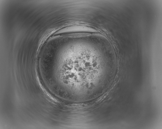 X0000052640049200507082016