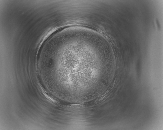 X0000052640050200507082016