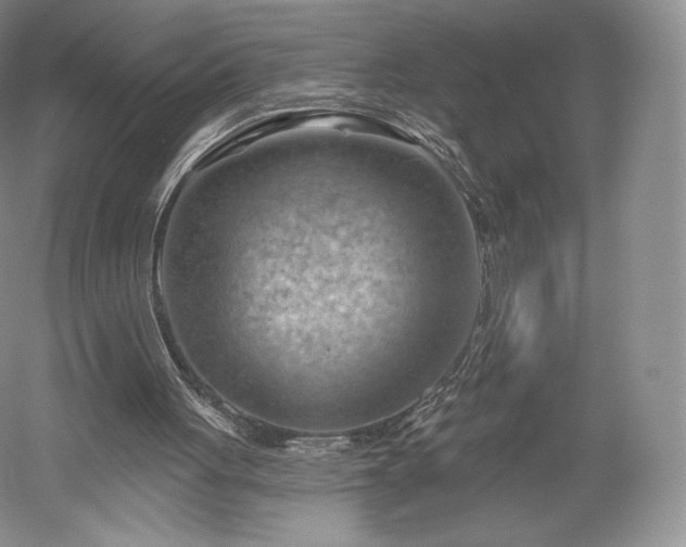 X0000052640051200507082016