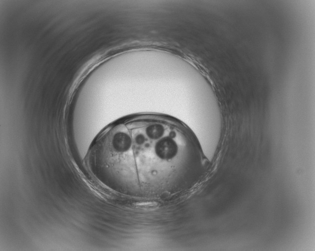 X0000052640053200507082016