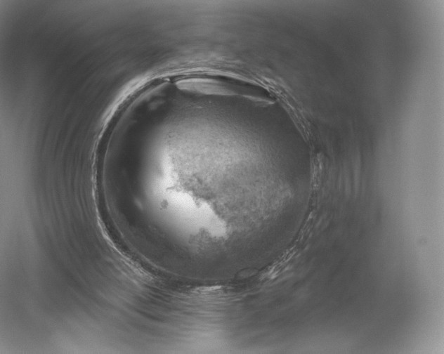 X0000052640054200507082016