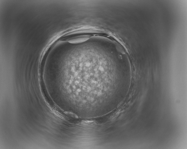 X0000052640055200507082016