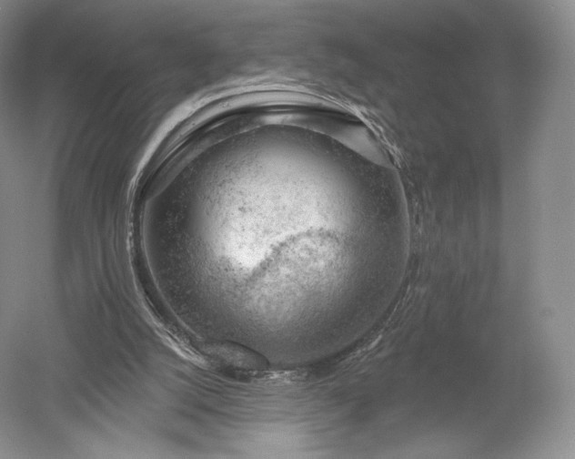 X0000052640056200507082016