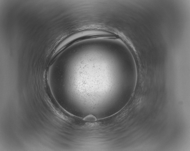 X0000052640057200507082016