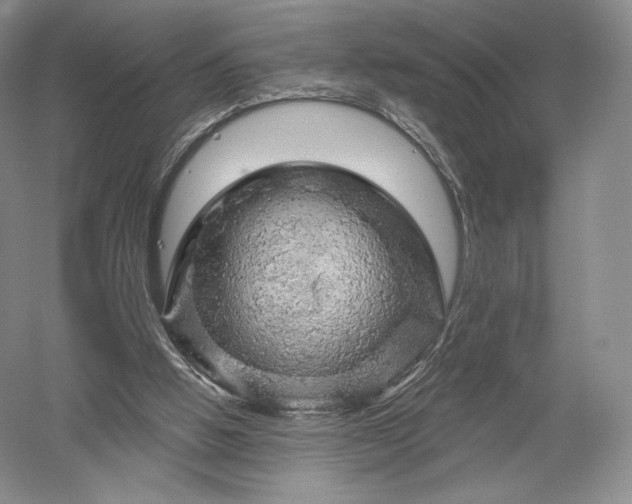 X0000052640058200507082016