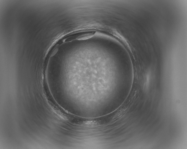 X0000052640059200507082016