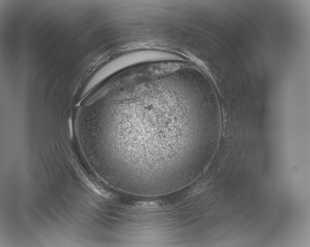 X0000052640061200507082016