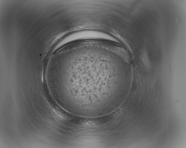 X0000052640062200507082016