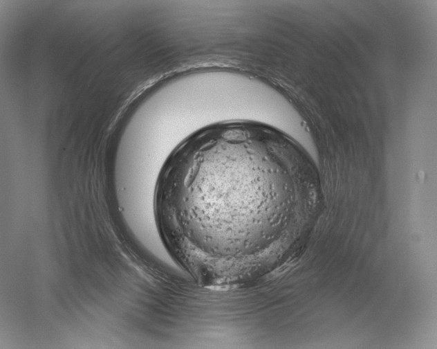 X0000052640064200507082016