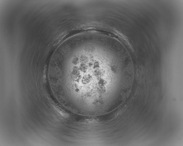 X0000052640065200507082016