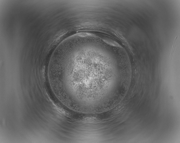 X0000052640066200507082016