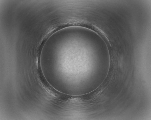 X0000052640067200507082016