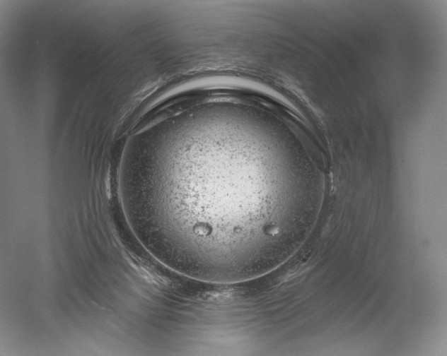 X0000052640068200507082016