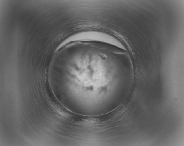 X0000052640069200507082016