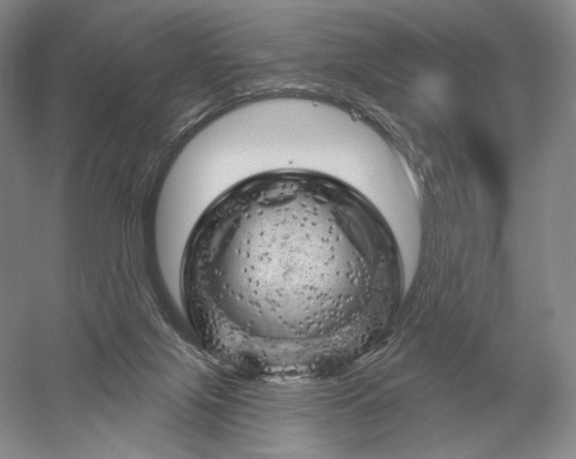 X0000052640071200507082016