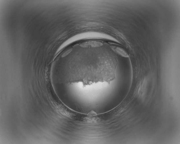 X0000052640073200507082016